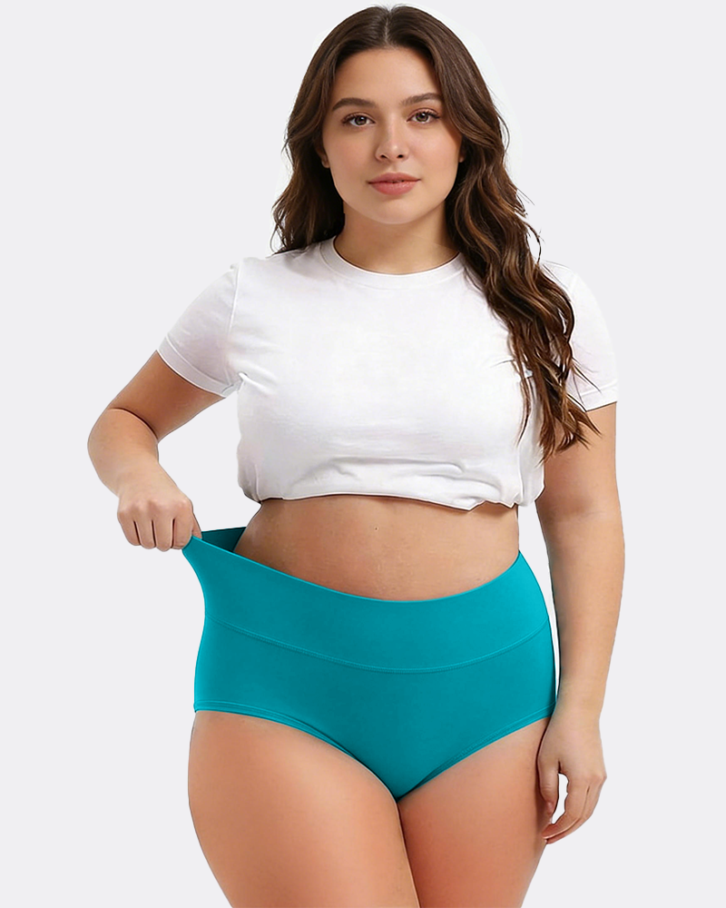 Women's Plus Size Cotton High Waisted Briefs Main image